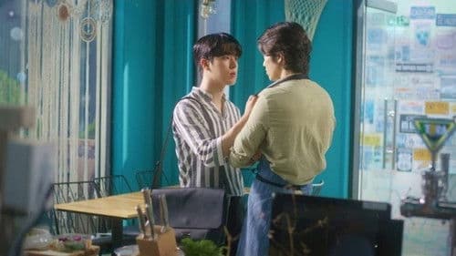 마이스윗디어 Bild 5