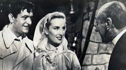 Tren internacional Bild 1