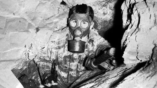 Algérie, Sections Armes Spéciales Bild 6