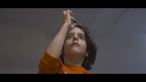 پورتال P Bild 1