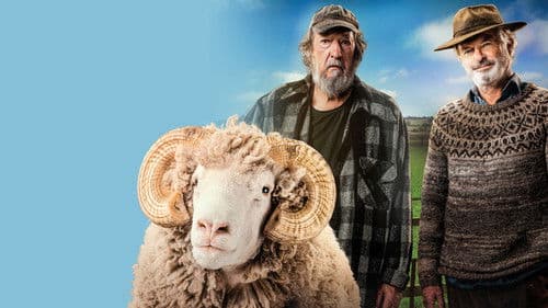 Besser wird's nicht Bild 7