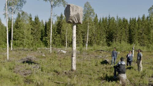 Der längste Tag Bild 1