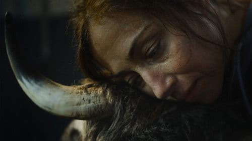 Alle die Du bist Bild 4