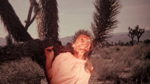 Meatcleaver Massacre Bild 2