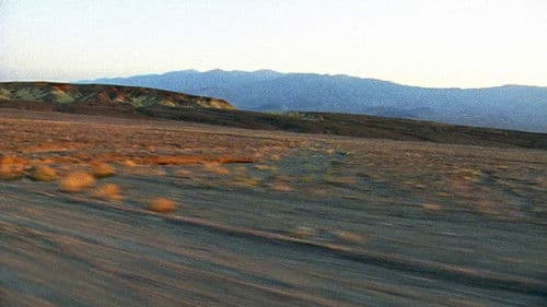 The Brown Bunny Bild 8