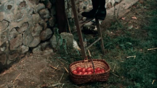 Cantique des Cantiques Bild 4