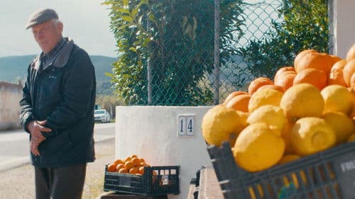 O Tempo De Comer Uma Laranja Bild 1