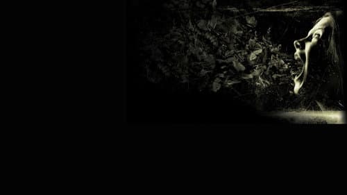 Possession - Das Dunkle in Dir Bild 4