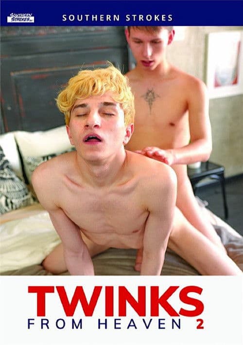 Twinks from Heaven 2
