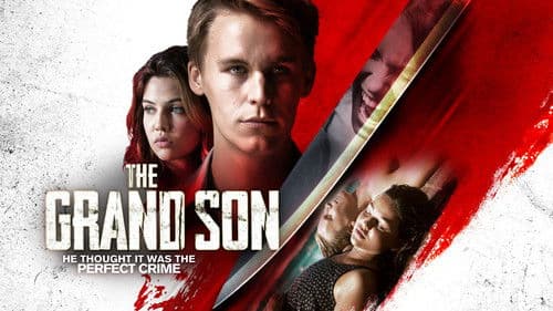 American Pets Bild 4