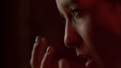 Bibliothèque Pascal Bild 4