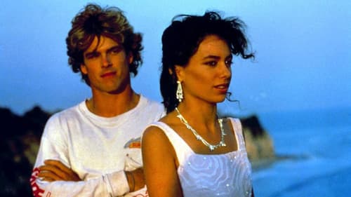 Nachtschwärmer Bild 8