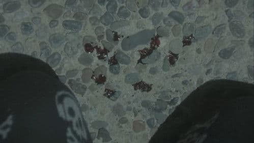 Oppressive & Crippling Demons Bild 8