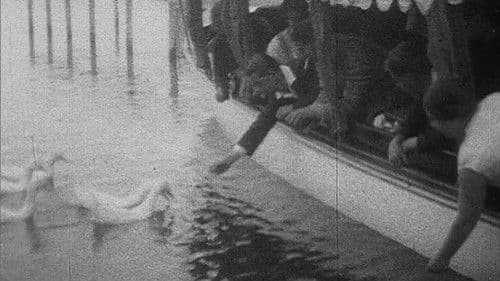 A Day on the Broads Bild 1