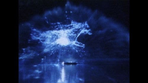 3 Dreams of Horses Bild 1