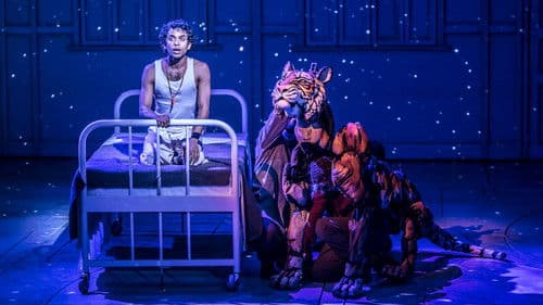 National Theatre Live: Life of Pi Bild 1