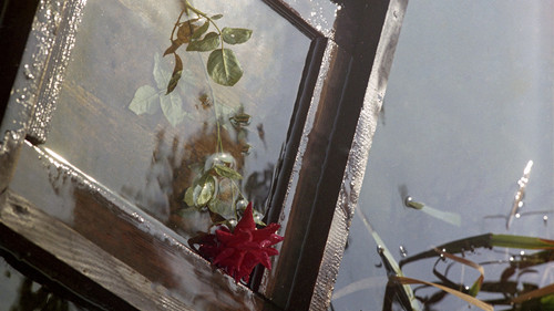 Pražský chodec Bild 1