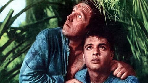 The Young Don't Cry Bild 2