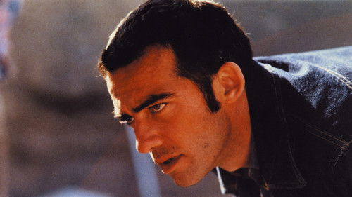 Es ist Winter Bild 4