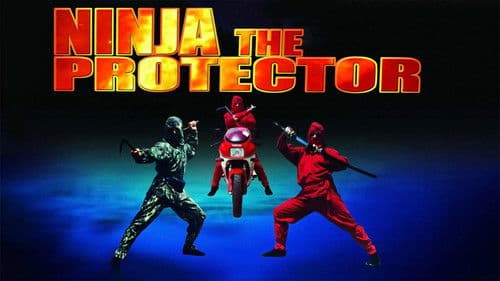 Ninja the Protector Bild 3