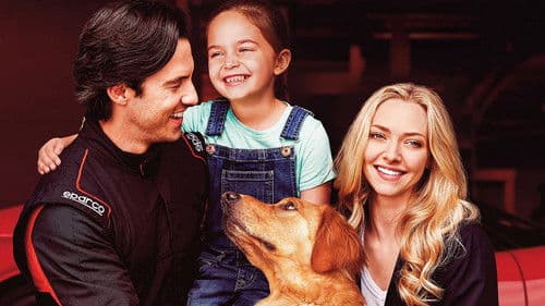 Enzo und die wundersame Welt der Menschen Bild 8