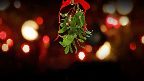 Under the Mistletoe Bild 2