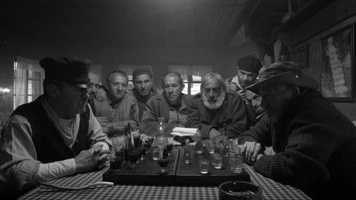 Живи комини Bild 1