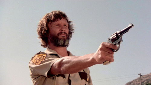 Vigilante Force - Das Gesetz sind wir Bild 5