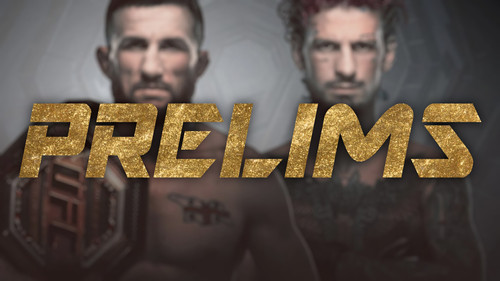 UFC 316: Dvalishvili vs. O'Malley 2 Bild 7