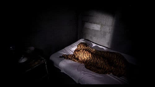 Generous bodies Bild 1