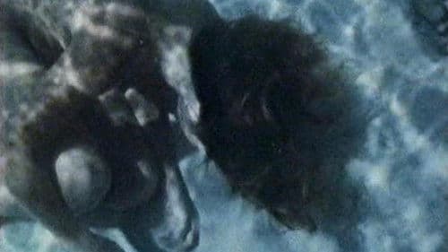 The Experiencer Bild 3