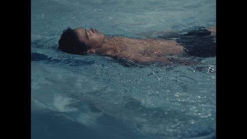 Animales de guerra Bild 1