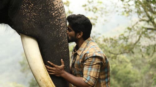 கும்கி 2 Bild 3