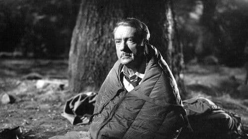 Mister Scoutmaster Bild 4