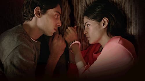 Dias Perfeitos Bild 4