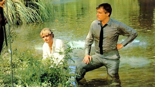 Die unverbesserlichen Drei Bild 2