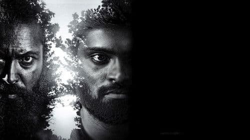 ரெட் சாண்டல் வுட் Bild 2