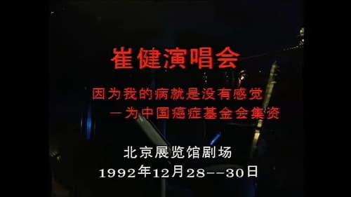 崔健92年北展演唱会 Bild 2