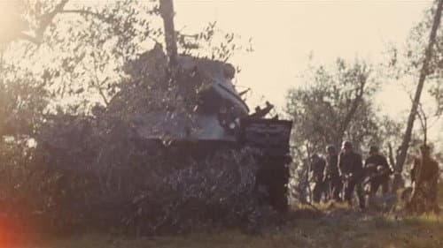 Die Leoparden kommen Bild 6