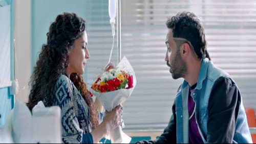 كلب بلدي Bild 8