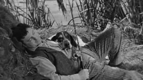 I Am an American Bild 1