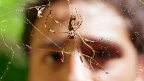 The Power of One Bild 4