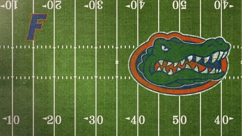 Untold: Swamp Kings Bild 1