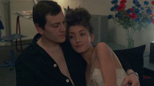 Vollmondnächte Bild 1