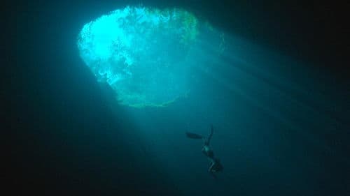 H2O: The Molecule that Made Us Bild 2