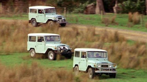 Schlafende Hunde Bild 2