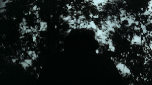 പോക്കുവെയിൽ Bild 6