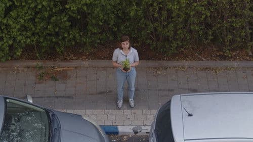 דמורסינכרונוזיס Bild 1