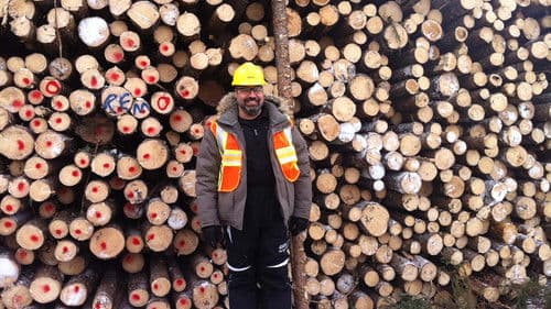 On n'est pas sorti du bois! Bild 2