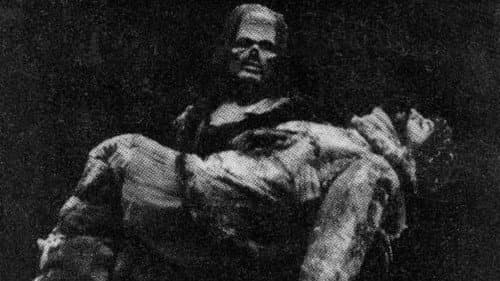 Frankenstein Bild 7